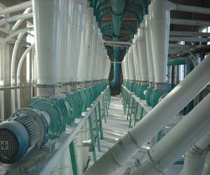 corn flour mill