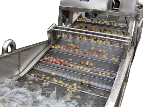 fruit bubble washing machine