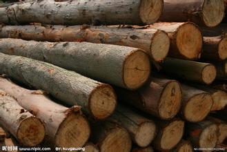 Logs the raw material