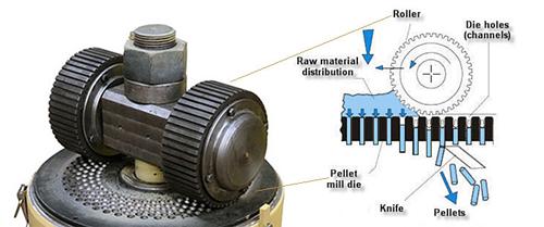 flat die pellet machine