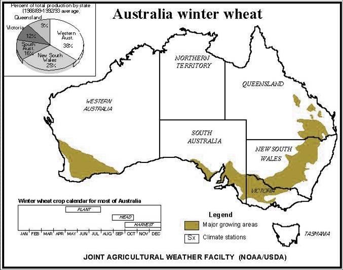 wheat in Australia